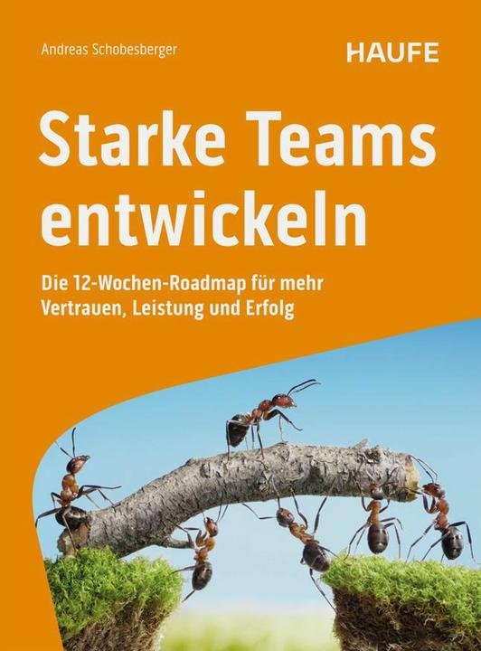 Produktbild Starke Teams entwickeln (Deutsch, Andreas Schobesberger, 2025)
