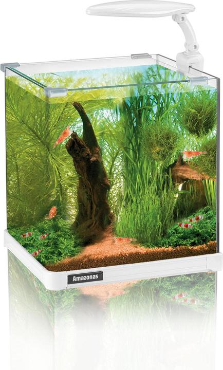 Amazonas Nano LED (10 l)