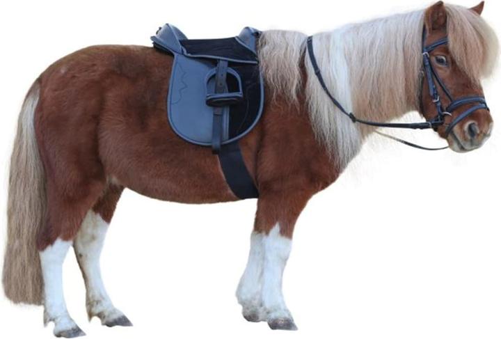 Productafbeelding Kerbl Zadelset Economy Pony zwart (incl. singel, stijgbeugels, stijgbeugelriemen)
