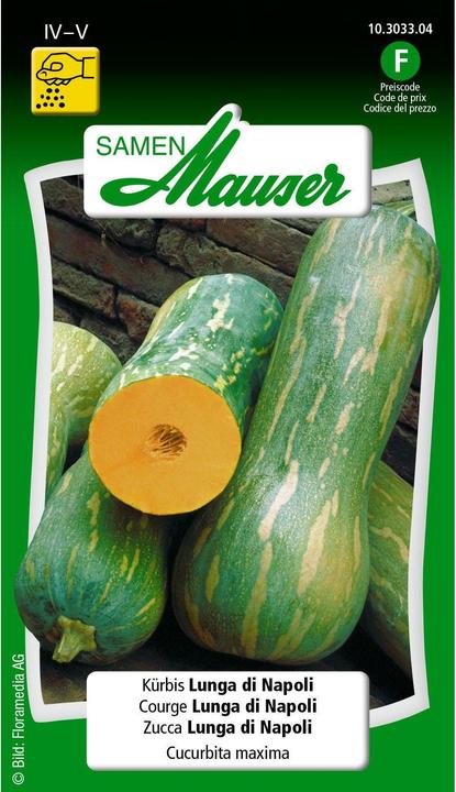 Samen Mauser Courge Lunga di Napoli (Graines de légumes)