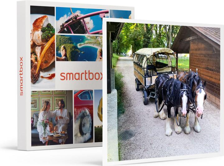 Produktbild Smartbox Romantische Kutschfahrt durch die Weinberge mit Weinverkostung (2 Pers.)