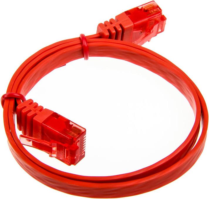 Rot