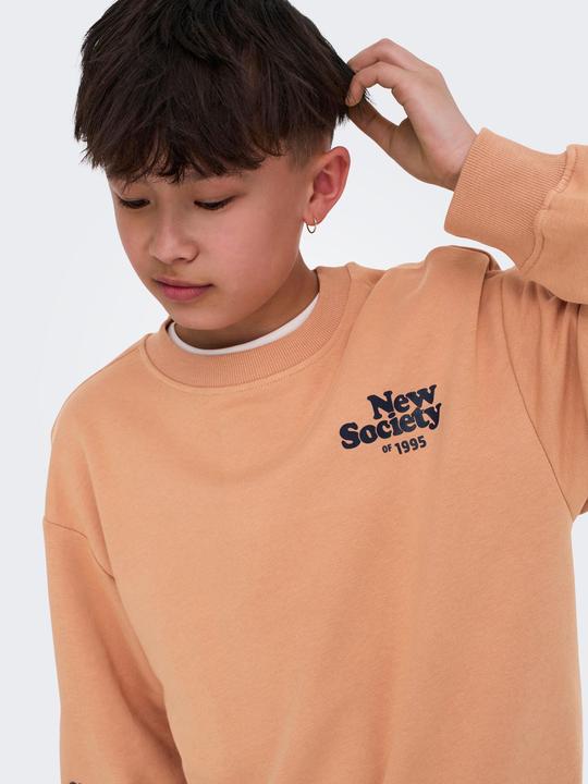 Actual product image Only & Sons Junior OSJTANNER Sweatshirt Sweatshirt (146)
