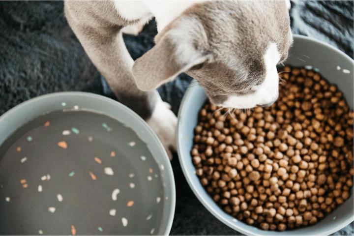 Produktbild Kentucky Dogwear Futternapf Bamboo Terrazzo S
