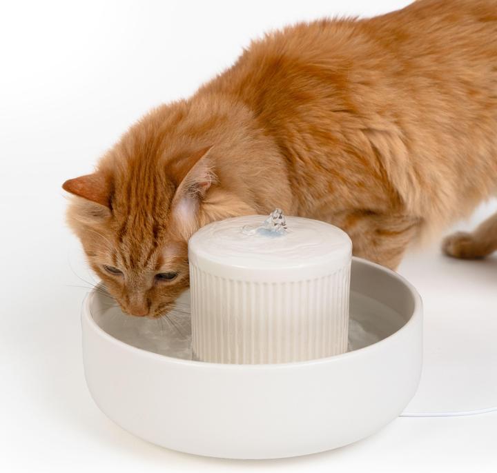 Futternapf
