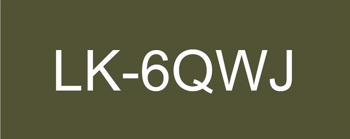 Actual product image Epson Matte Khaki/White 24mm LK-6QWJ (2.40 cm, White, Brown)