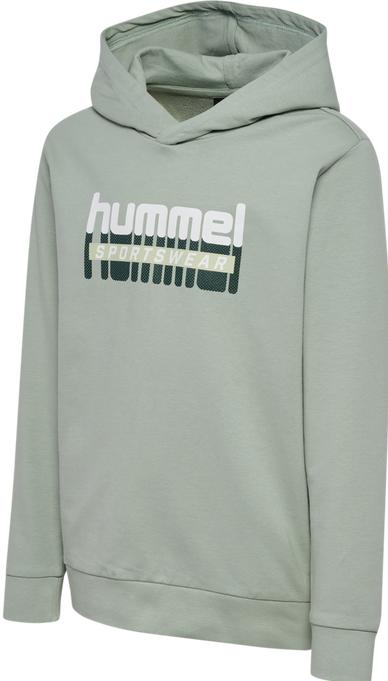 Actual product image hummel Hmltukas Hoodie (152)