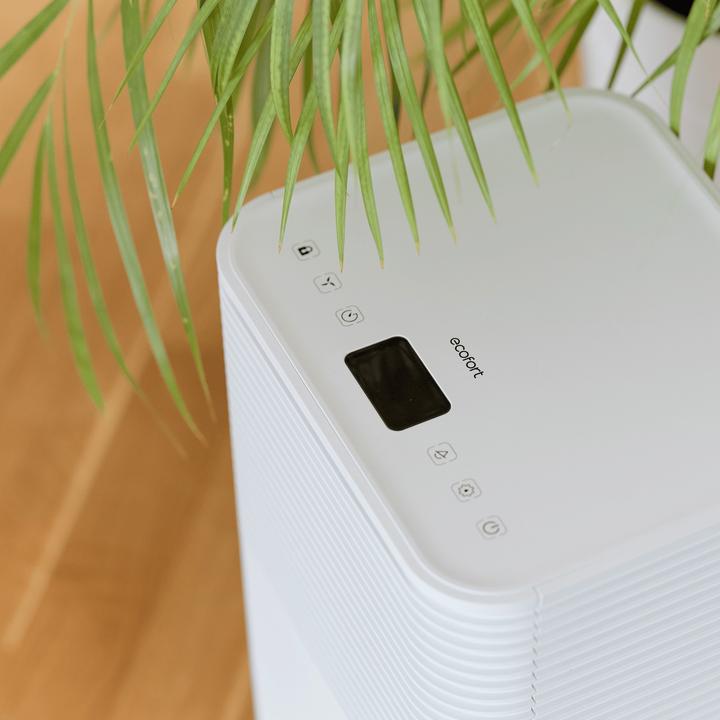 Immagine prodotto ecofort ecoQ 12L Essenziale (30 m², 12 l/24h)