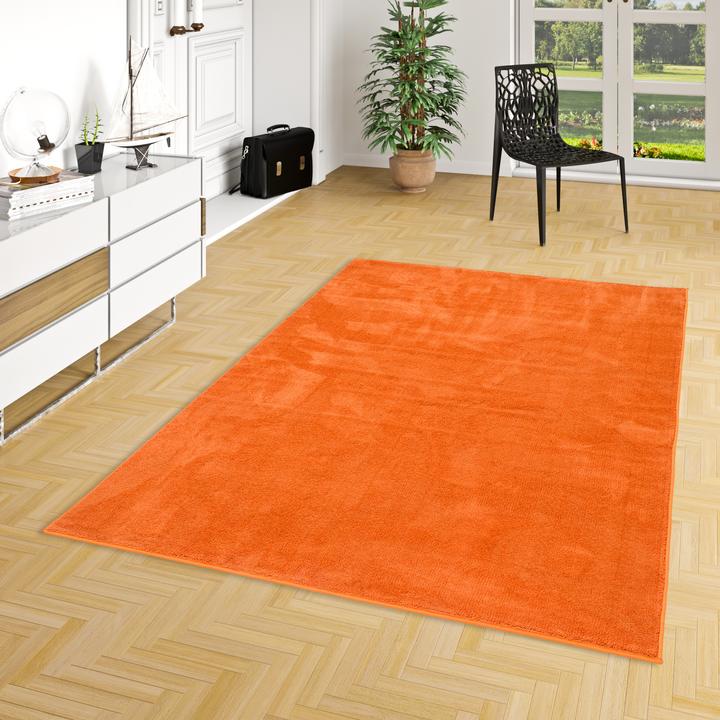 Produktbild Pergamon Luxus Super Soft Hochflor Langflor Teppich Melia (140 x 200 cm)