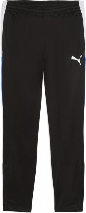 Actual product image Puma IndividualLIGA Training Pants (M)