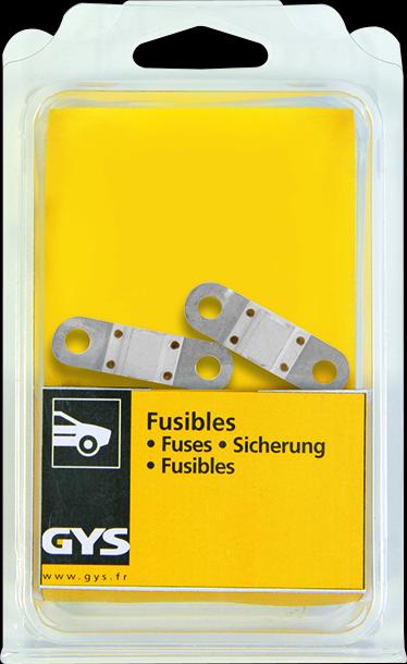 Produktbild GYS Sicherungen Spez. M5, Set à 2, 125A