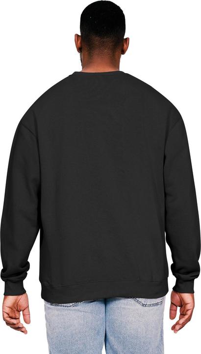 Immagine prodotto Universal Textiles Felpa oversize da uomo in cotone ringspun (5XL)