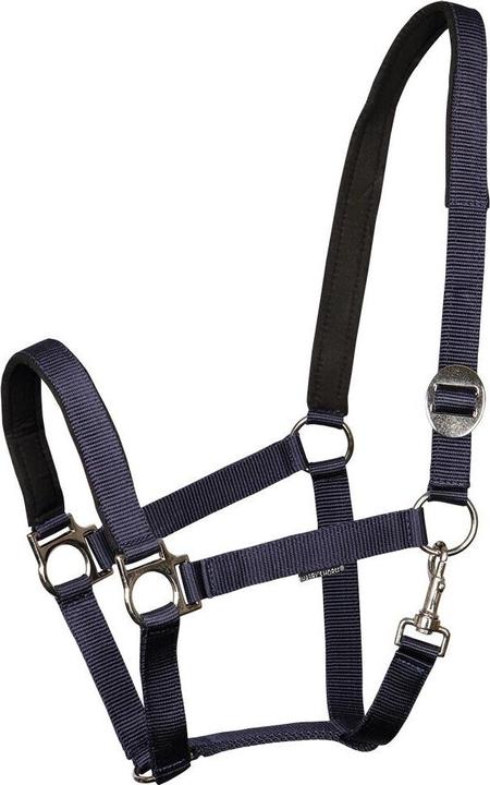 Harry's Horse Halfter