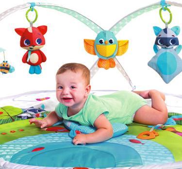 Productafbeelding Tiny Love Dynamische Gymini Weidedagen