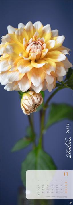 Produktbild Magic Flowers Vertical Kalender 2026 (24,5 x 69 cm, Harter Einband, Deutsch)