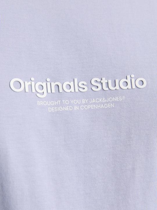 Actual product image Jack & Jones Jorvesterbro Tee Ss Crew Neck Noos Pls (XXL)