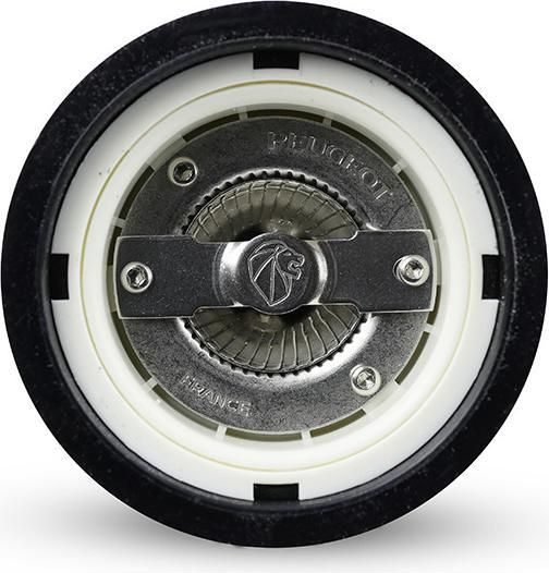 Actual product image Peugeot Paris (Salt)