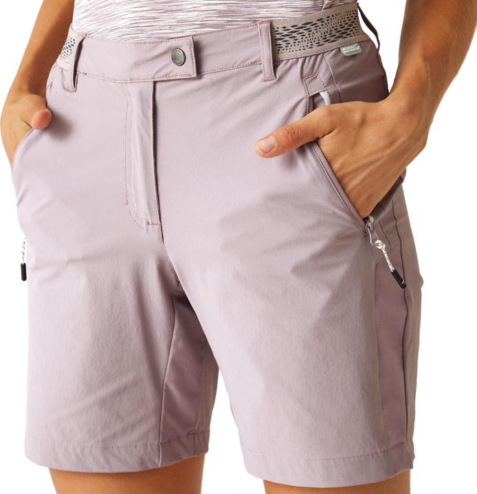 Actual product image Regatta Womens/Ladies Mountain II Shorts (40)