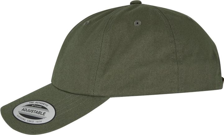 Actual product image Flexfit Low Profile Cotton Twill - 1660 (One size)