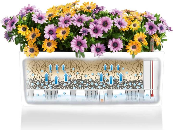Produktbild Lechuza Balconera Color (19 cm)