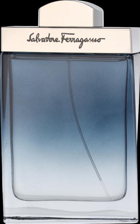 Produktbild Salvatore Ferragamo Subtil (Eau de Toilette, 100 ml)