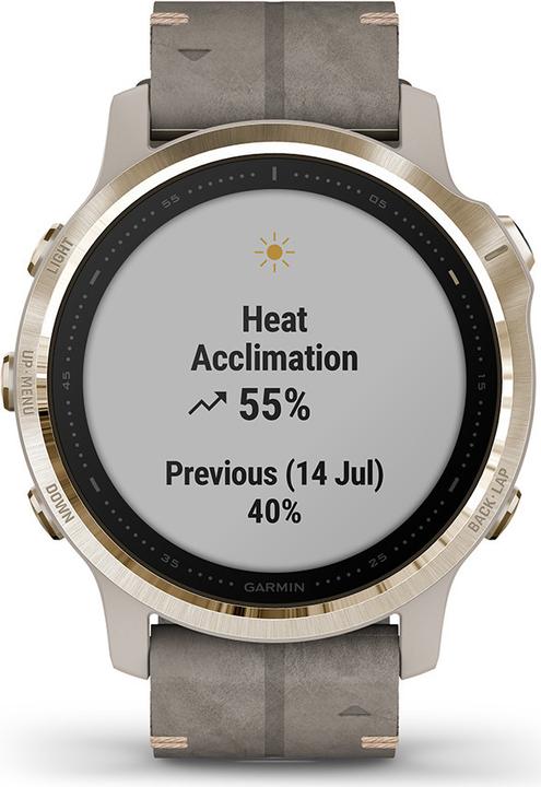 Produktbild Garmin Fenix 6S Sapphire (42 mm)