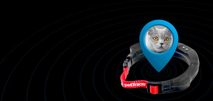 Image du produit PetTracer Dispositif de suivi GPS pour chats (Chat, Général)