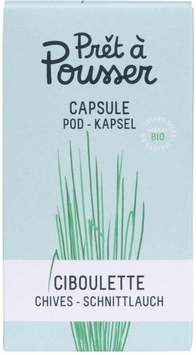 Prêt à Pousser Erba cipollina (Semi di erbe)