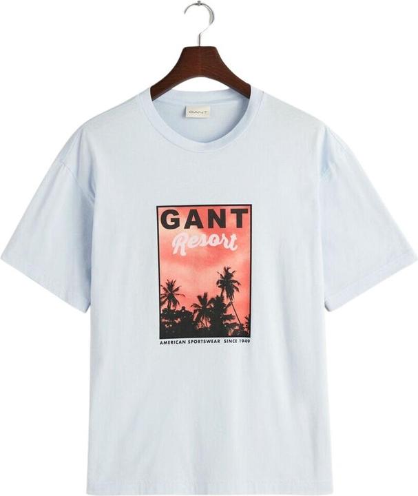 Actual product image GANT t-shirt washed graphic (L)