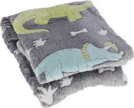 Productafbeelding Toi-Toys Glow N Fun Glow in the Dark Dino deken, 130x150cm (130 x 150 cm)
