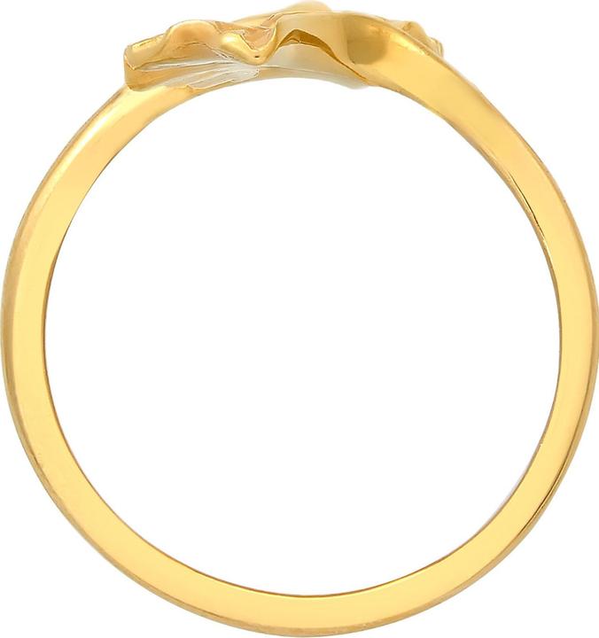 Actual product image Elli ginkgo (54, 925 Silver)