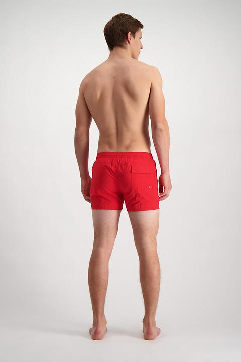 Actual product image Speedo Fitted Leisure Men's Bathing Shorts (L)