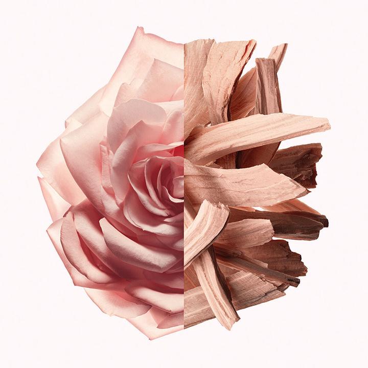 Actual product image Givenchy Irresistible Nude Velvet Eau De Parfum 50 ml (Eau de parfum, 50 ml)
