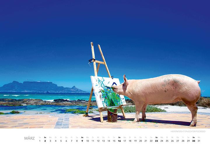 Produktbild Pigcasso Kalender 2025 (Harter Einband, Deutsch)