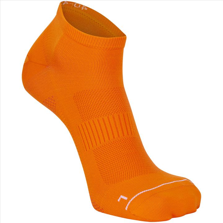 Daehlie Sock Athlete Low