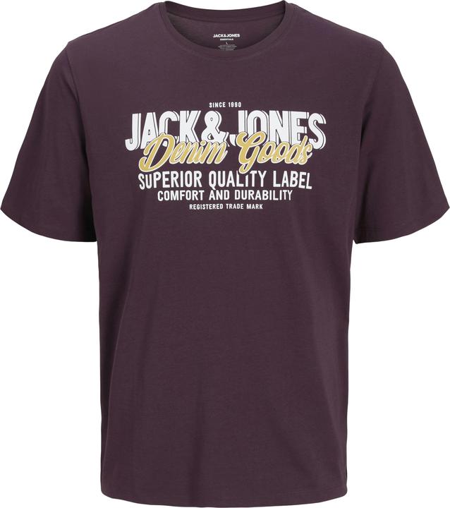 Jack & Jones Jjelogo Tee Ss Oneck 2 Col Aw25 Noos Pls