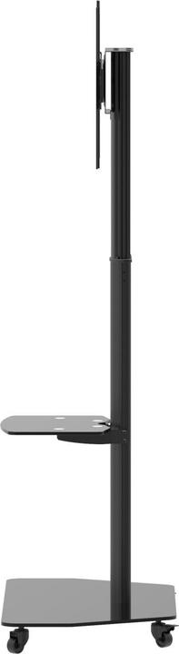 Actual product image Celexon Trolley Adjust-3770MP (70", 50 kg)