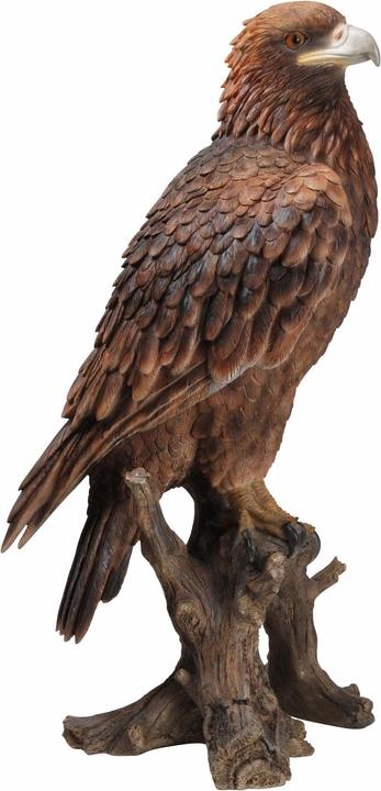 Image du produit Figurine décorative Aigle royal