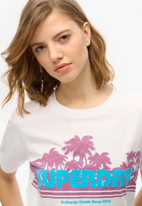 Actual product image Superdry Outdoor Stripe Relaxed Tee (8)