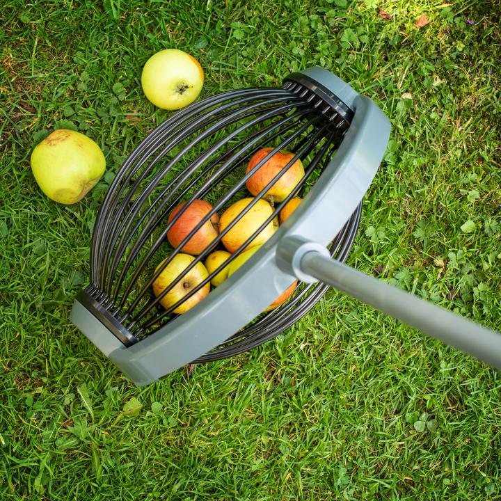 Produktbild UPP Rollsammler/ Obstsammler Gross mit ALU-Teleskopgriff