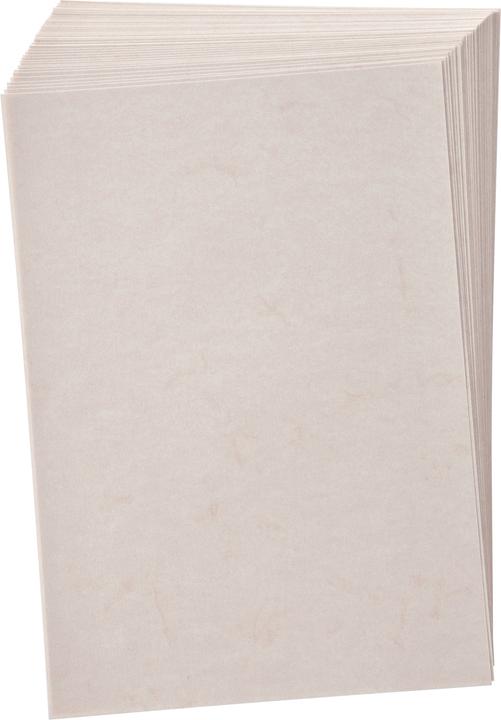 Actual product image Folia Elephant skin paper (110 g/m², 1 x)