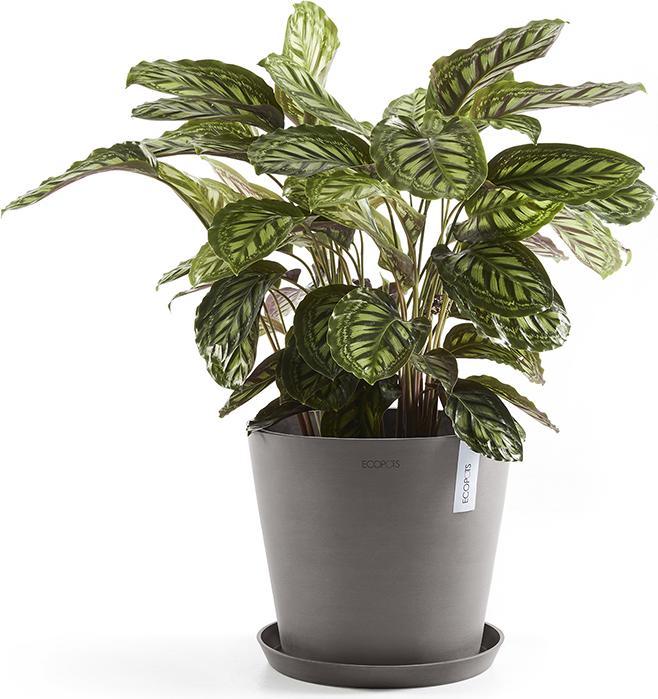 Produktbild Ecopots Saucer Round
