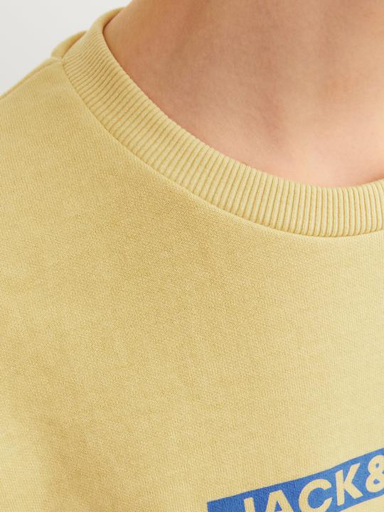 Immagine prodotto Jack & Jones Felpa stampata con collo rotondo Per i ragazzi Felpa con collo rotondo (176)