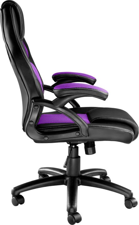 Actual product image tectake Mike