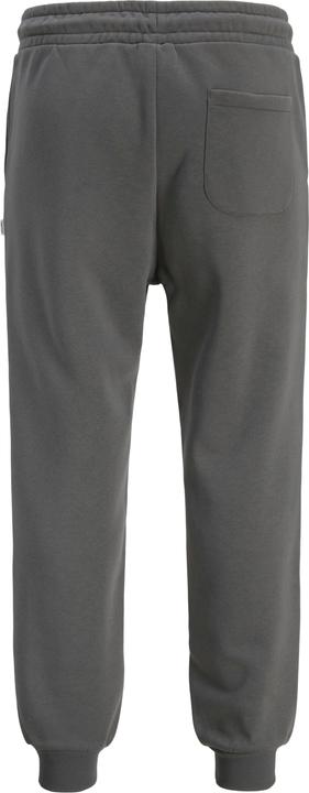 Produktbild Jack & Jones Normal geschnitten Jogginghose Jogginghose (L)