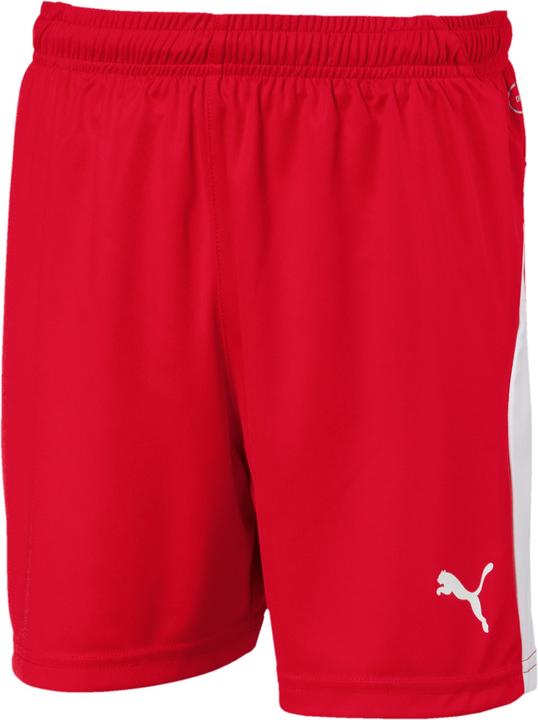 Puma Liga (176)