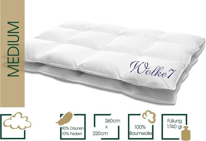 Actual product image Hanskruchen Wolke 7 (1740 g, 260 x 220 cm)