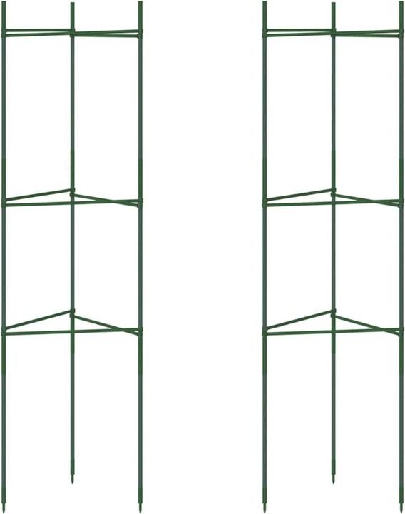 Produktbild VidaXL Tomatenkäfig 2 Stk. 116 cm und PP