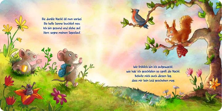 Produktbild Gott hat alle lieb - Meine schönsten Kindergebete (Deutsch, Tanja Hofmeyer, Anna Karina Birkenstock, 2022)
