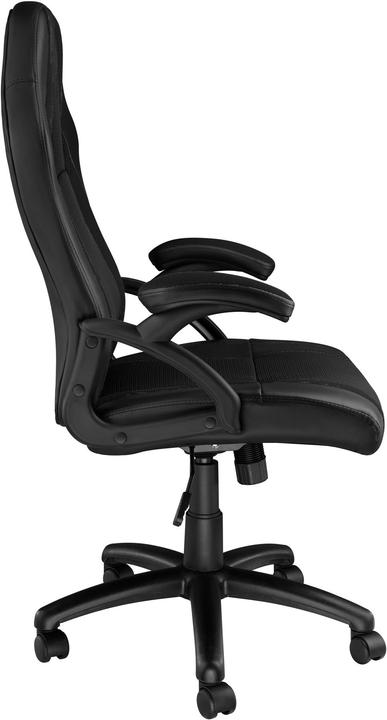 Actual product image tectake Goodman